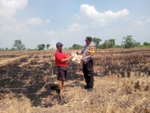 Polsek Kapas Salurkan Benih Jagung Hibrida untuk Dukung Ketahanan Pangan di Bojonegoro
